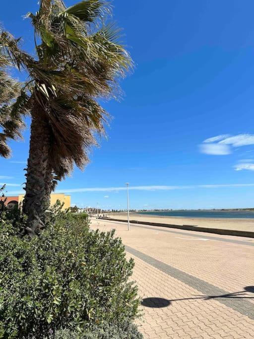Studio Cosy A Deux Pas De La Plage ! Gruissan Zewnętrze zdjęcie